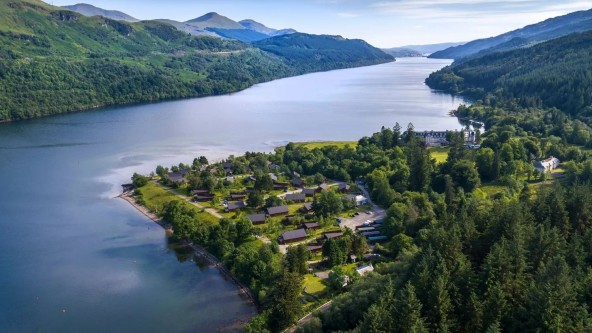 Argyll Forest