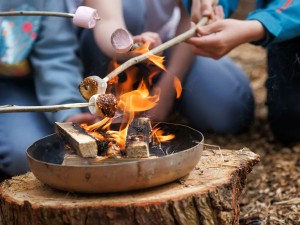 Ranger Activities Argyll