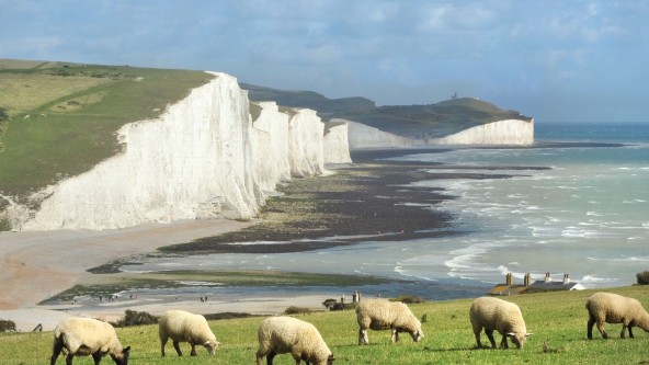 East Sussex coast