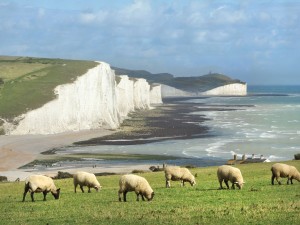 East Sussex coast