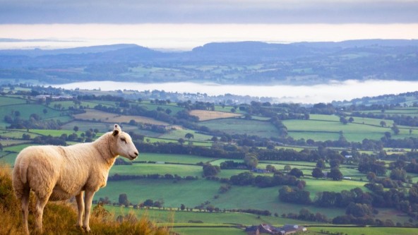 Cheshire Countryside