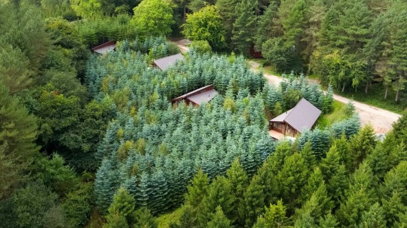 Lodges at Delamere Forest