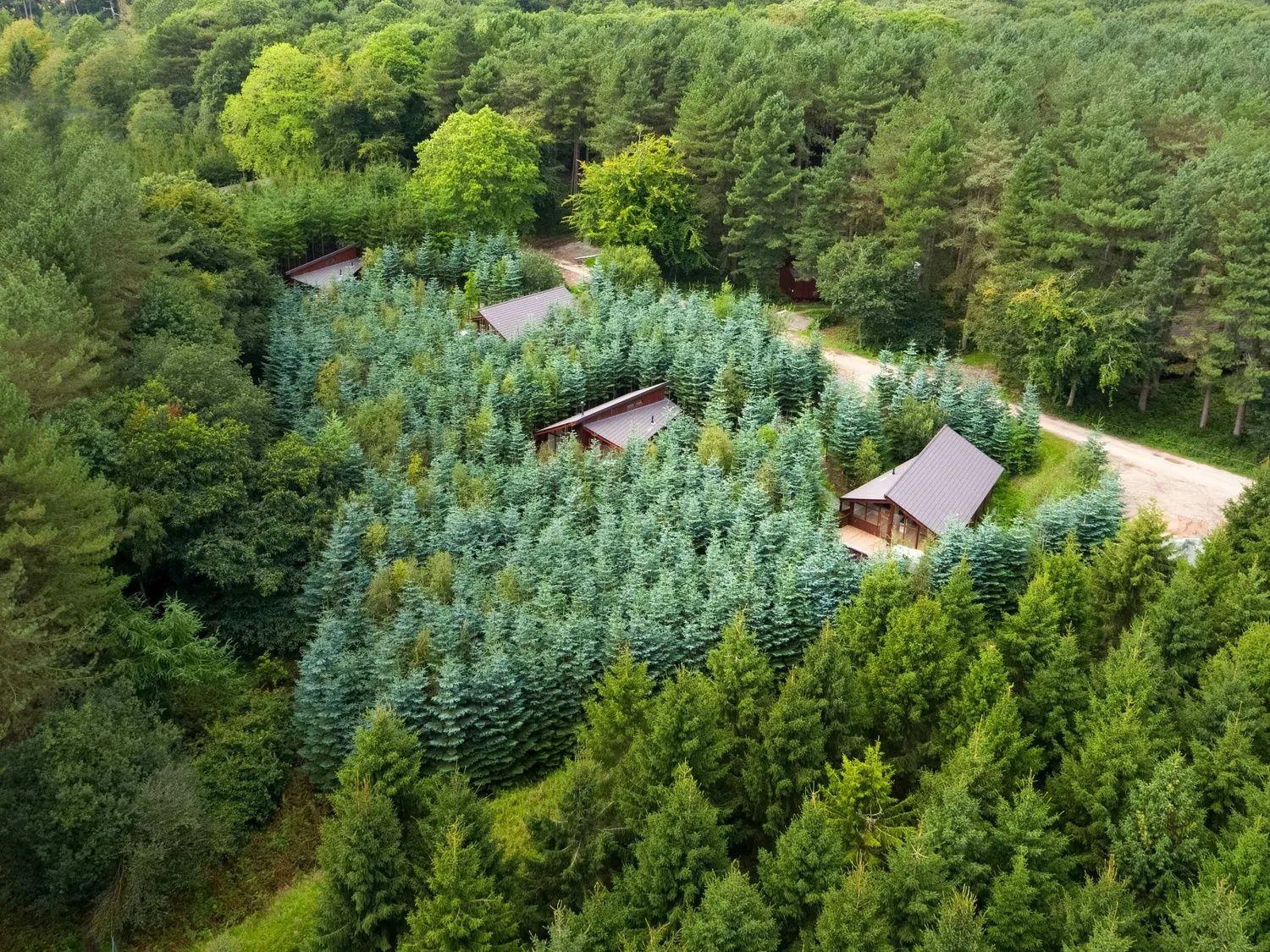 Lodges at Delamere Forest