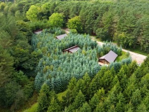 Lodges at Delamere Forest