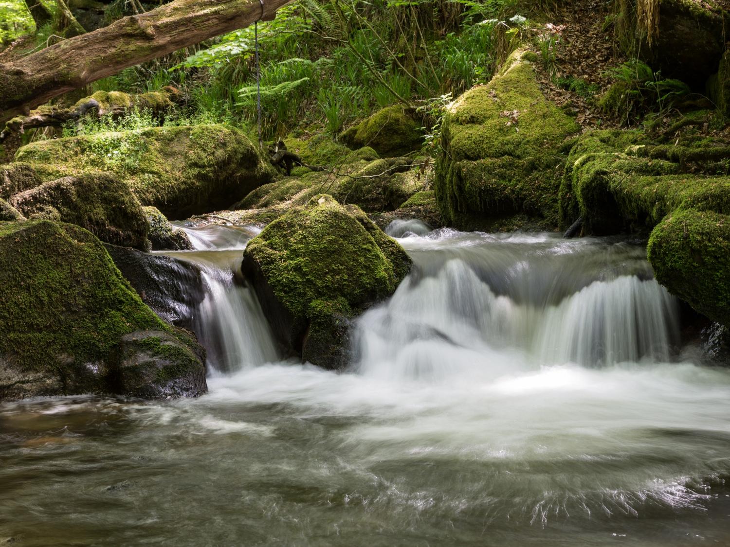 Golitha Falls
