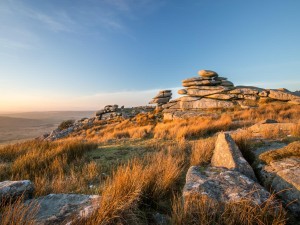 Bodmin Moor