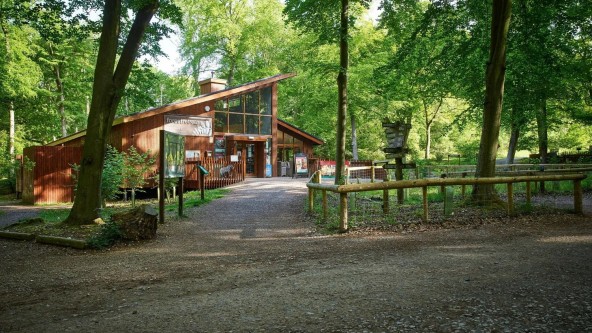 Blackwood Forest Reception