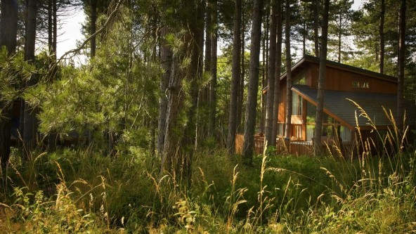 Blackwood Forest Lodge