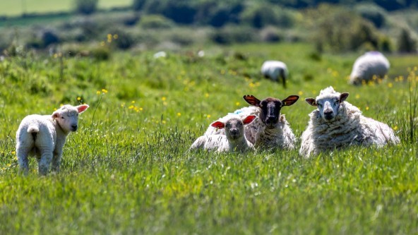 South Downs National Park