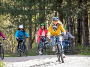 Bike Riding Blackwood Forest
