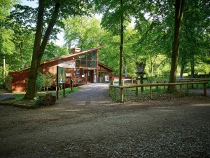 Blackwood Forest Reception
