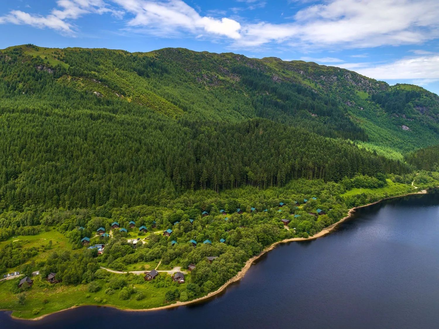 Strathyre Forest
