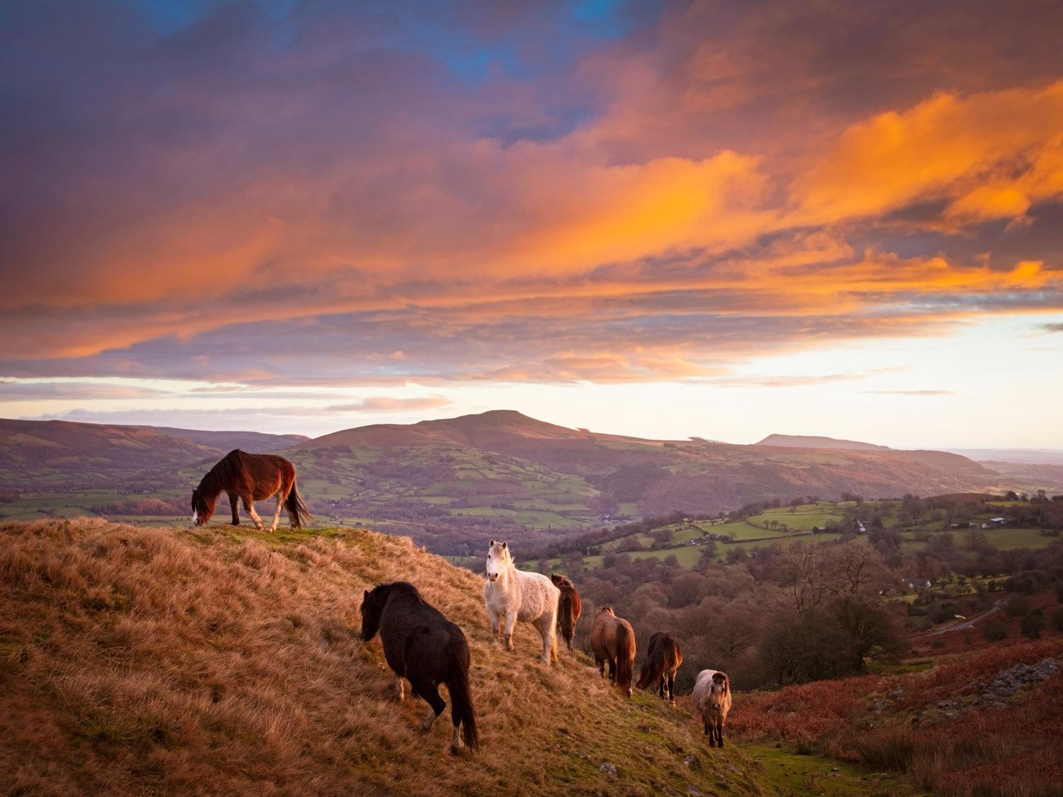 Brecon beacons National Park