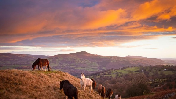 Brecon beacons National Park