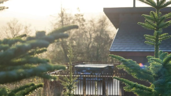 Lodges at Garwnant