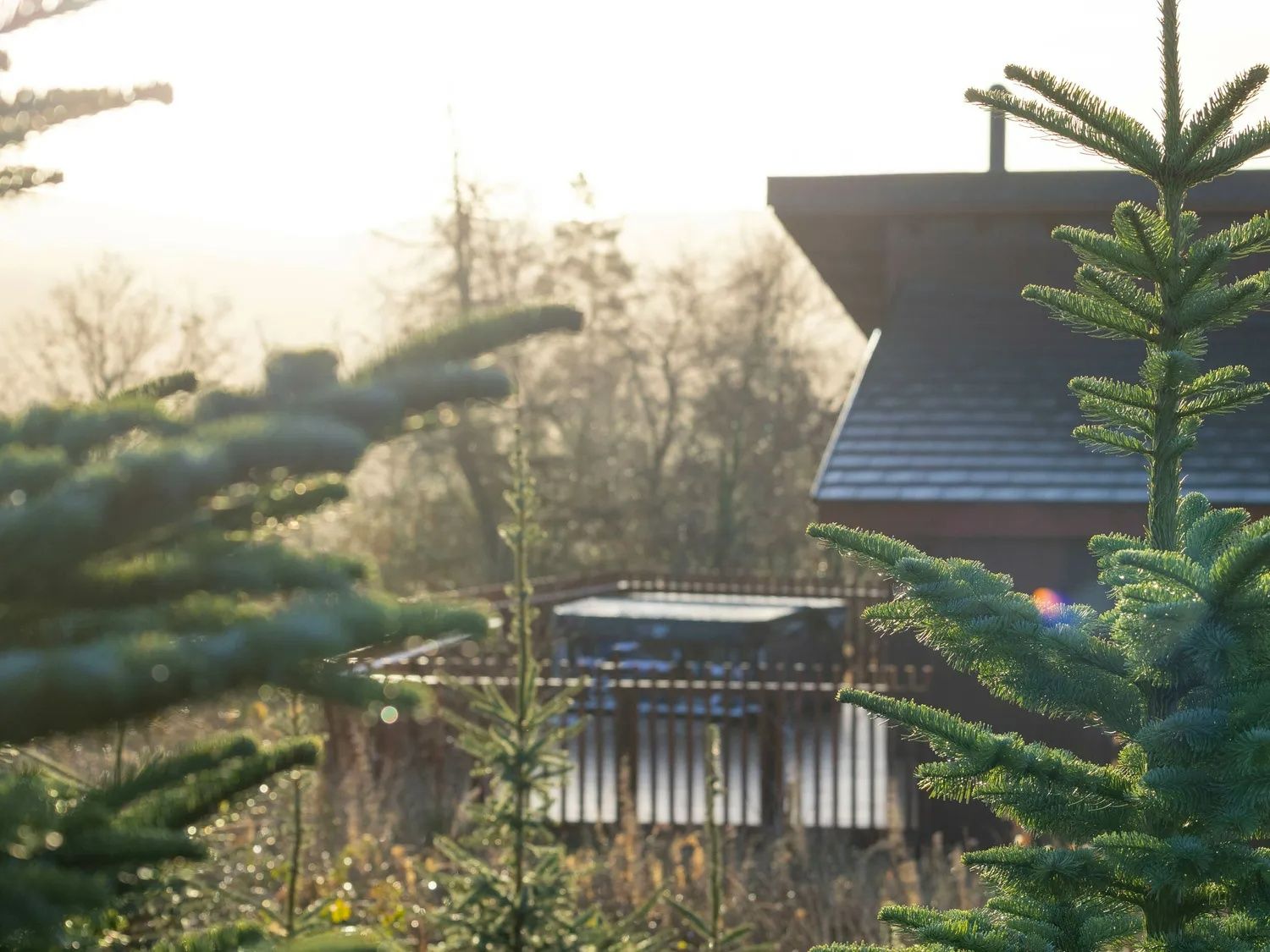 Lodges at Garwnant