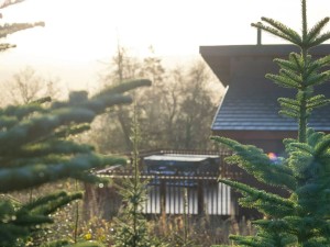 Lodges at Garwnant
