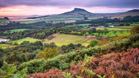 North York Moors 1