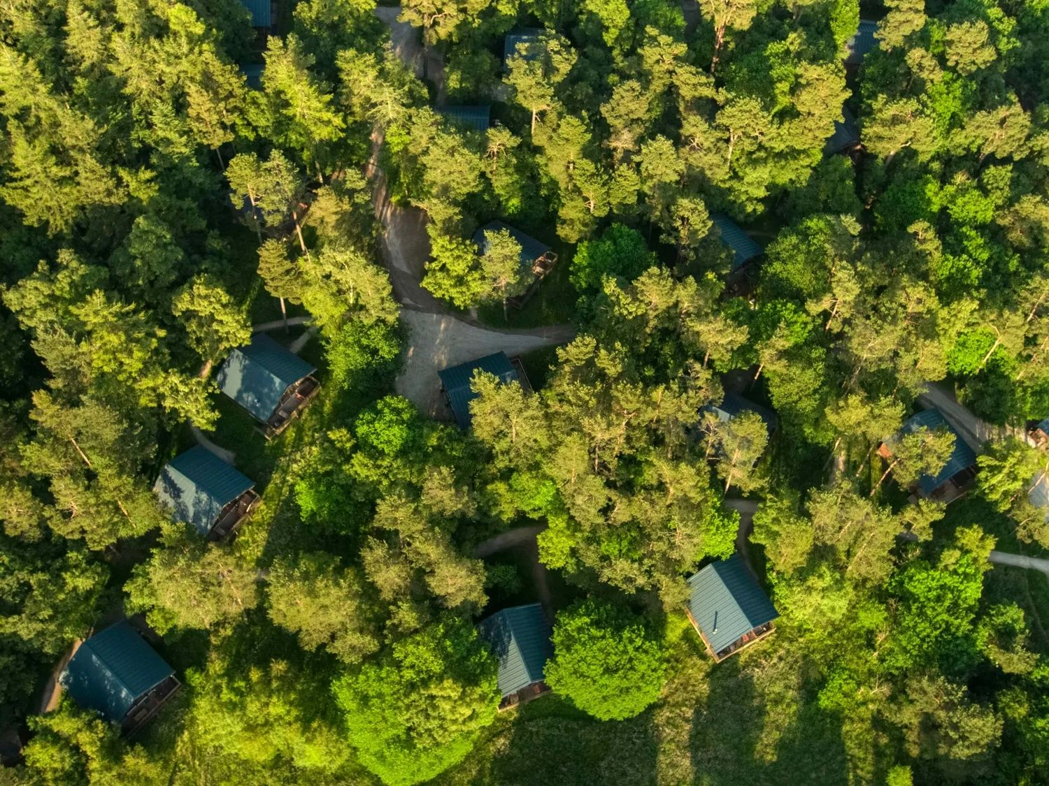 Lodges in Keldy
