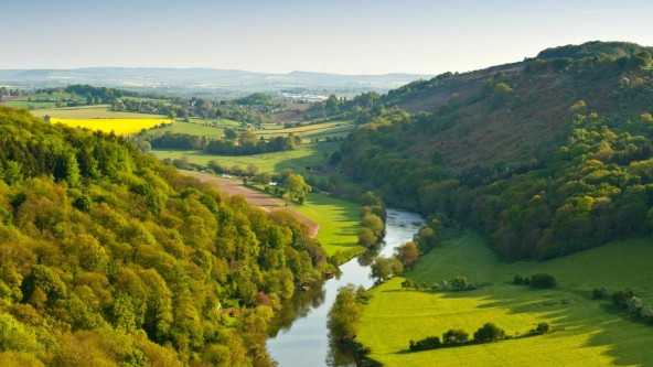 Forest of Dean