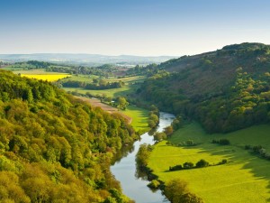 Forest of Dean