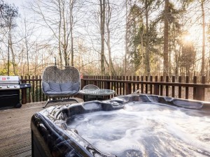 Hot Tub Forest of Dean
