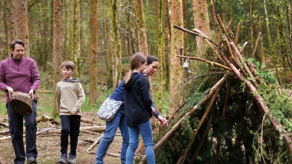 Forest Activities at Sherwood