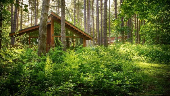 Lodge Sherwood Forest
