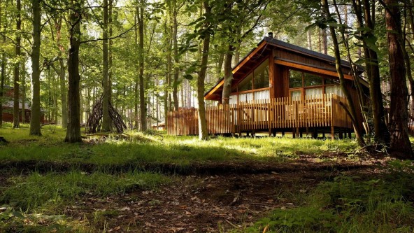 Lodge Sherwood Forest