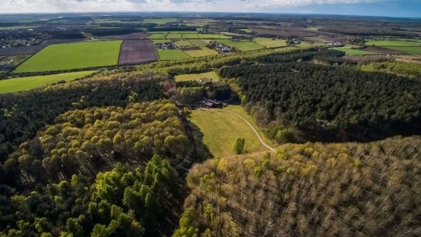 View Over Sherwood Forest