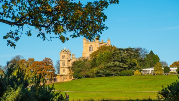 Wollaton Park