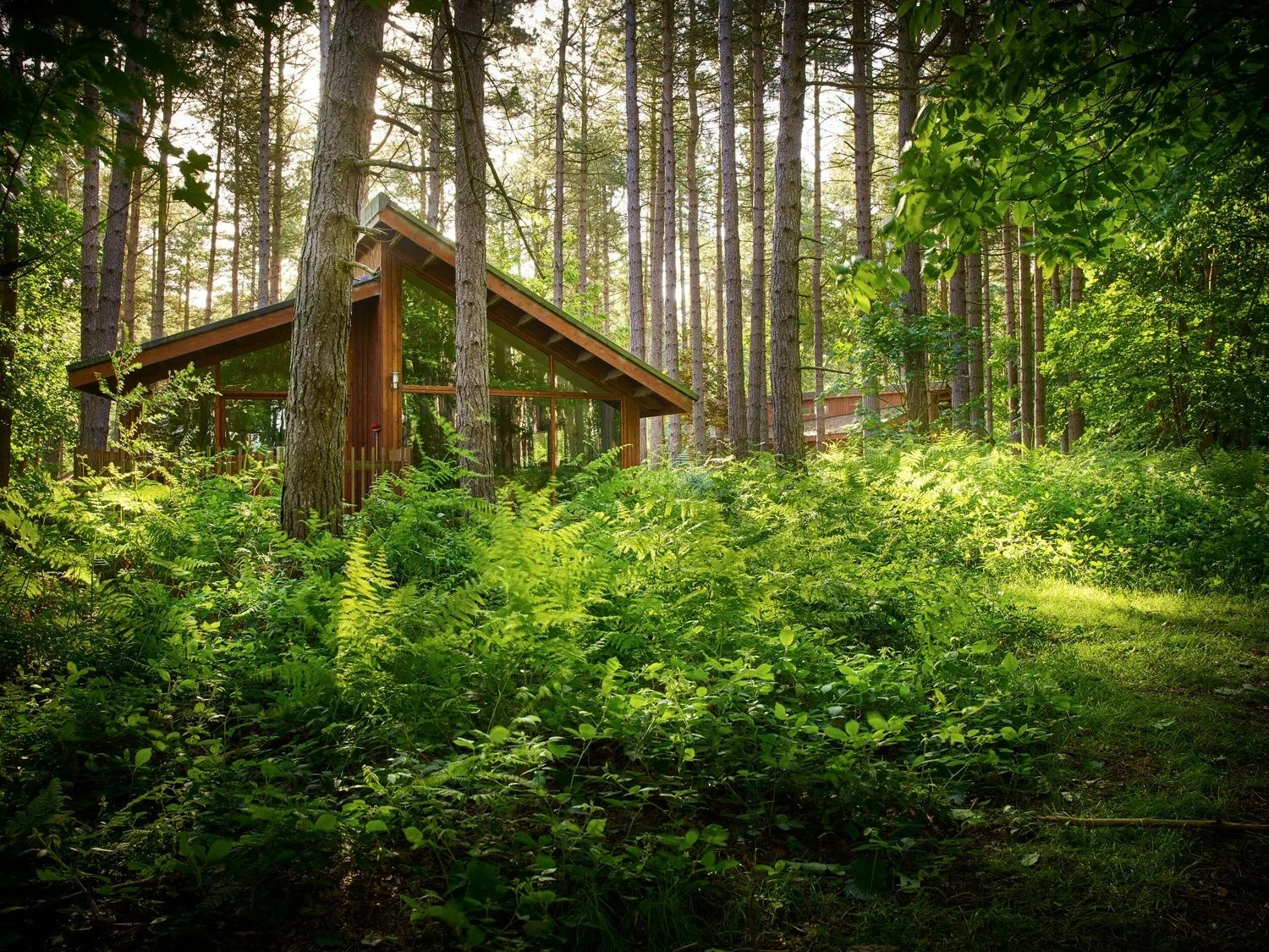 Lodge Sherwood Forest