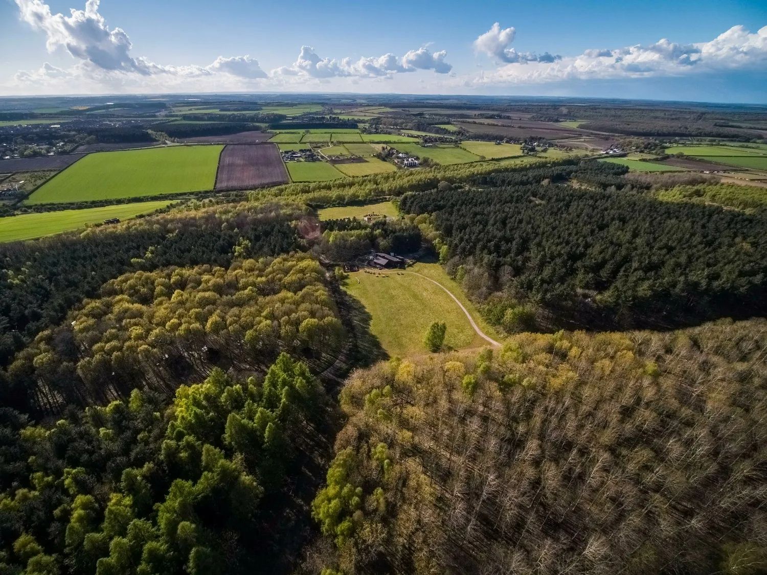 View Over Sherwood Forest