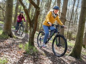 Bike Hire Sherwood Forest
