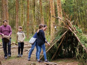 Forest Activities at Sherwood