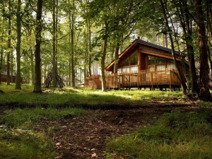 Lodge Sherwood Forest