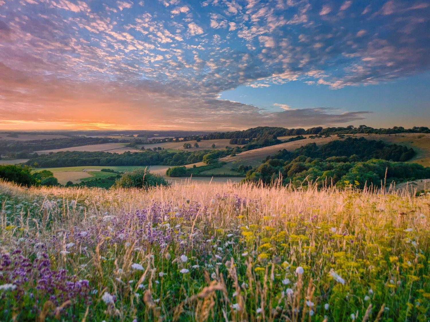 North York Moors