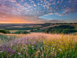 North York Moors
