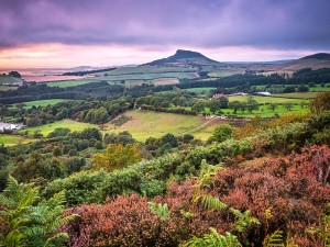 North York Moors