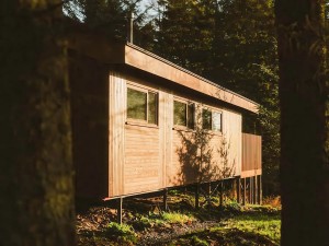 Glentress Treehouse
