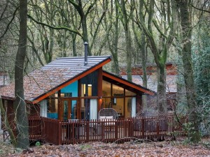 Lodge in Glentress