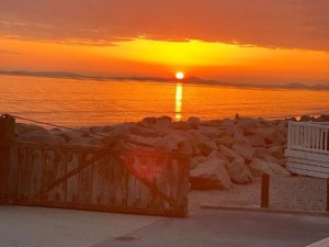 Sunset beyond the park