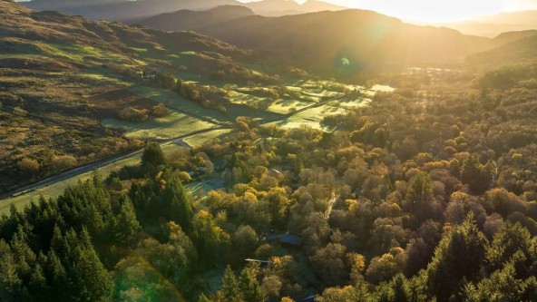 Beddgelert Forest