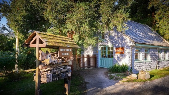 Bug Hotel Beddgelert