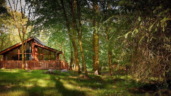 Lodges Beddgelert Forest