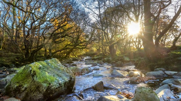 Stream Through Beddgelert
