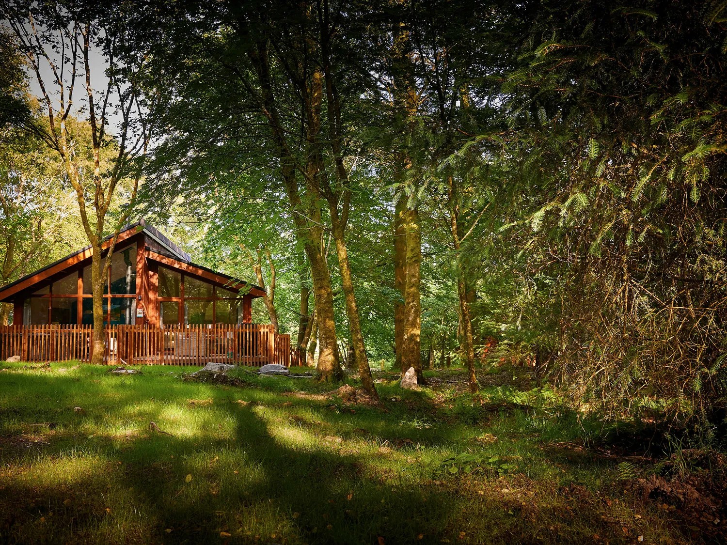 Lodges Beddgelert Forest