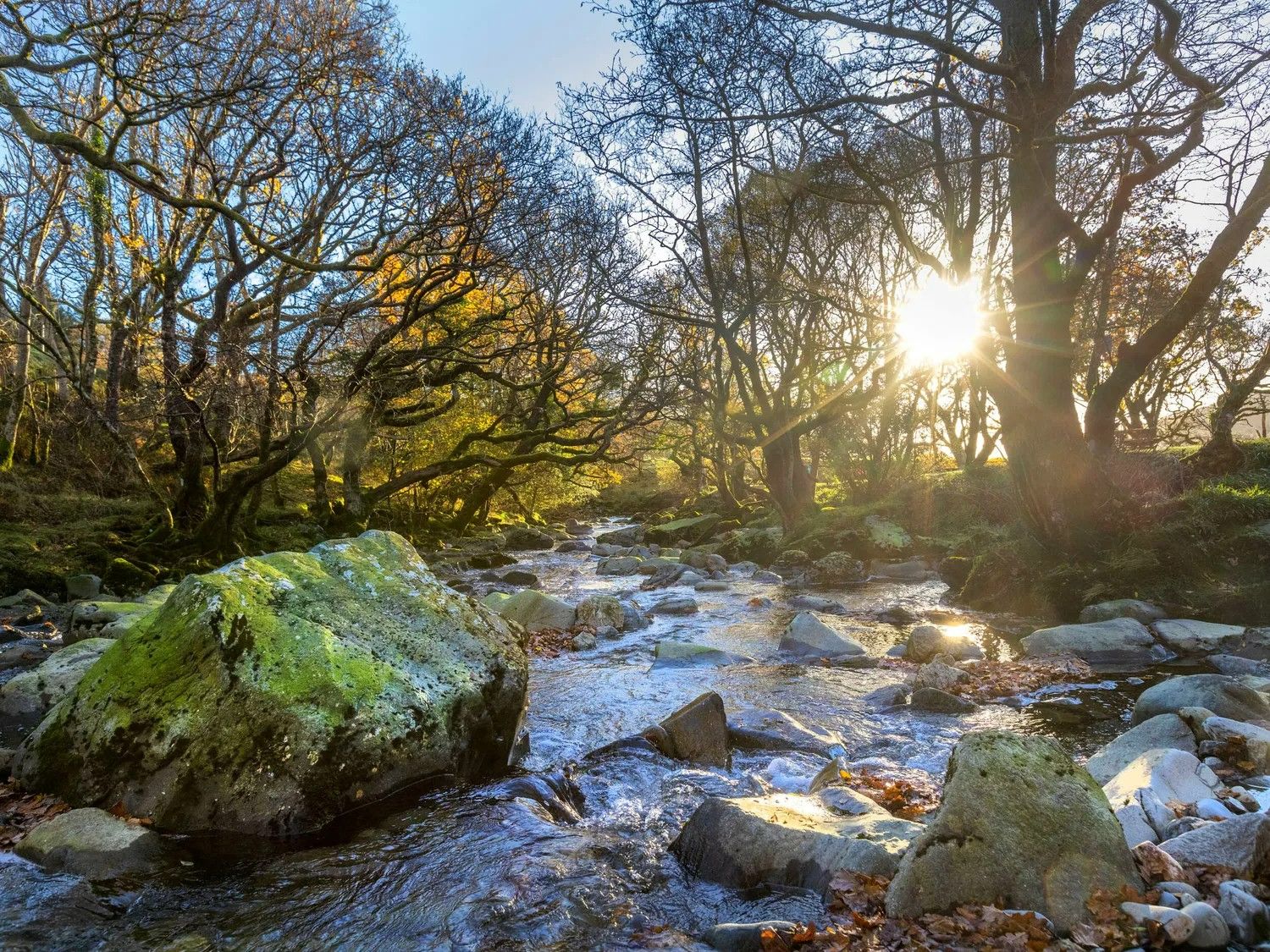 Stream Through Beddgelert