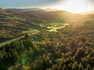 Beddgelert Forest