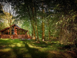 Lodges Beddgelert Forest